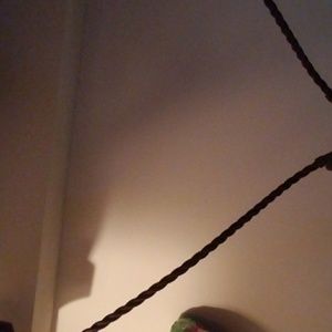 Meet your Posher, Paulette