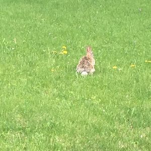 Meet your Posher, Kenzie