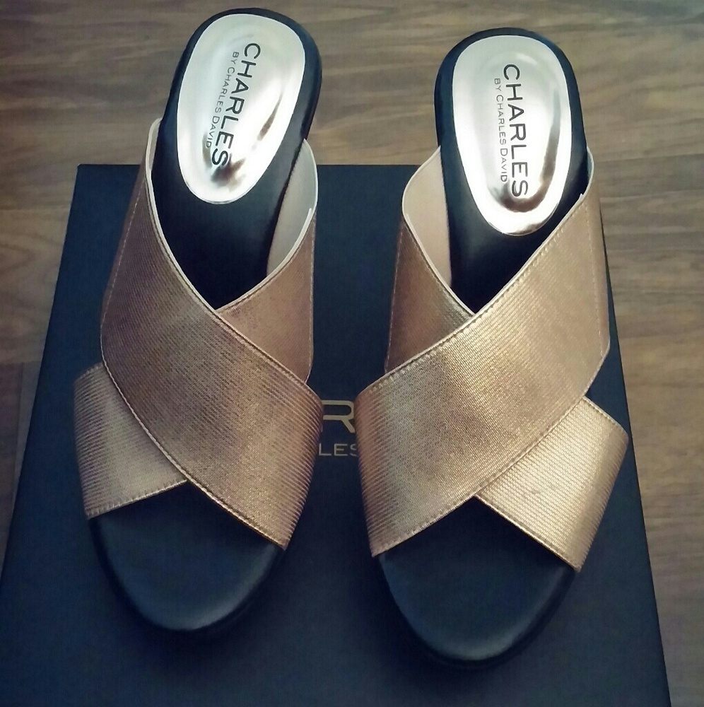 Charles By Charles David Wedge Sandals