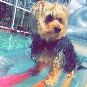 Meet your Posher, Kaitlyn