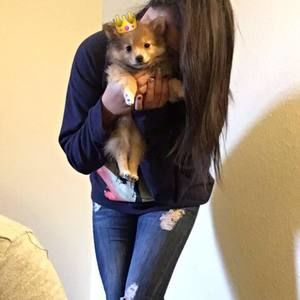 Meet your Posher, Jackie