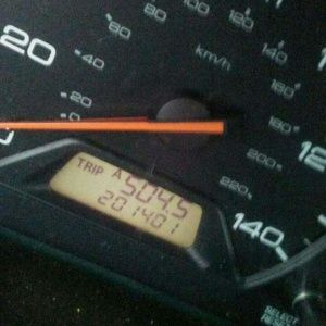 Meet your Posher, Calvin