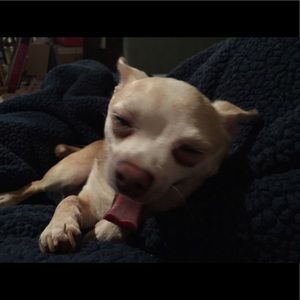 Meet your Posher, Deanna