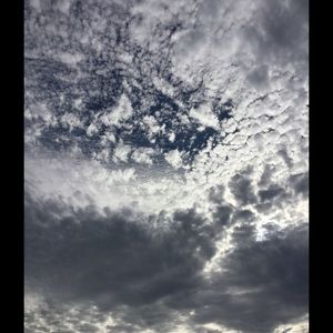 Meet your Posher, Diana