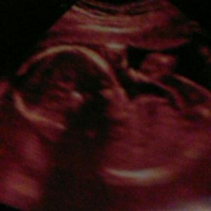 Meet your Posher, Savannah