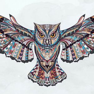 Meet your Posher, Darlene