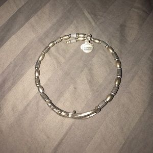 silver alex and ani