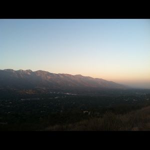 Meet your Posher, Wayne