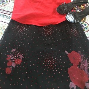 Black & Red Skirt