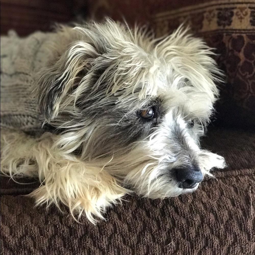 Meet your Posher, Veronica