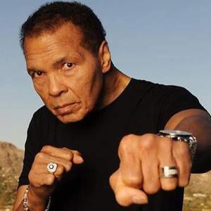 Meet your Posher, Darin