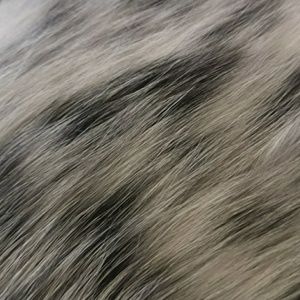 Meet your Posher, Alexander