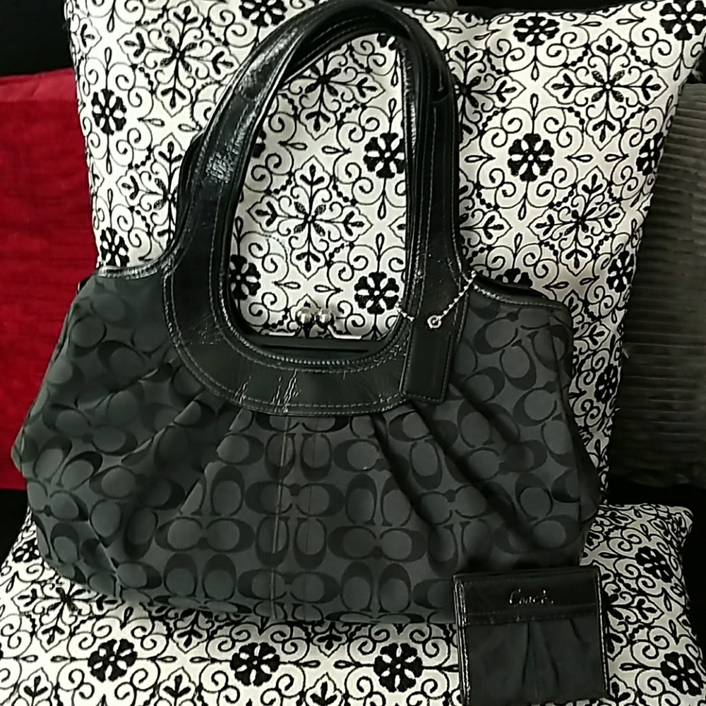 Coach Ergo Signature Pleated Frame bag wallet