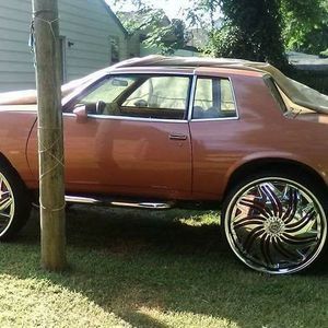 Meet your Posher, Devon