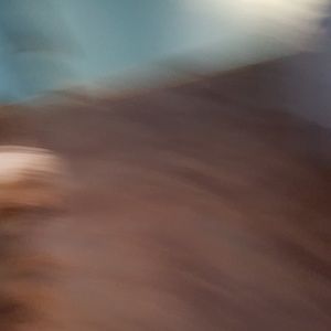 Meet your Posher, Valerie