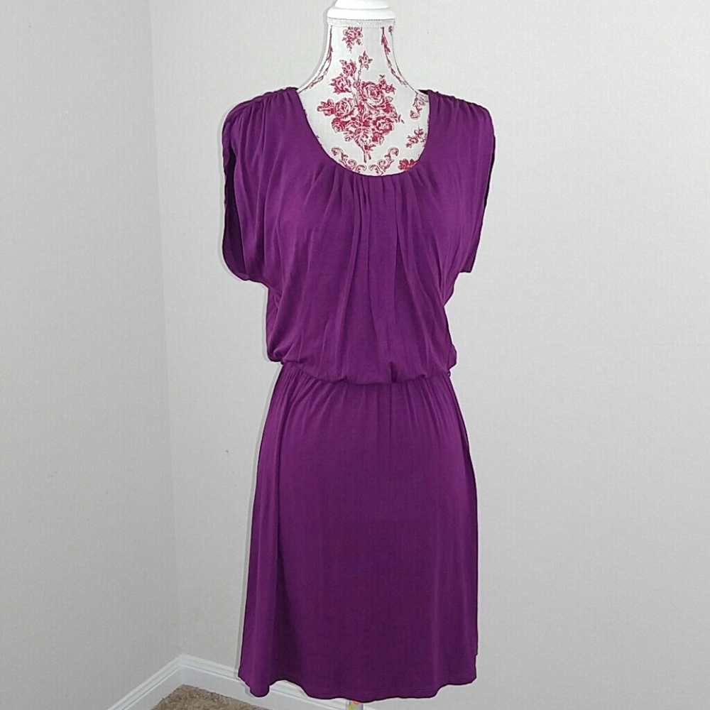 Ann Taylor Loft Solid Purple Casual Dress XS