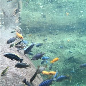 Meet your Posher, Ruby