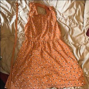 Business Casual Forever 21 Dress