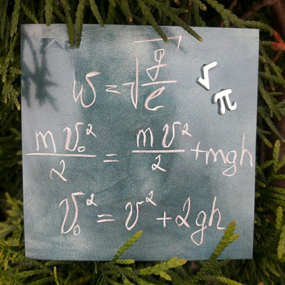 ZAD Math Wiz Earrings Surgical Steel