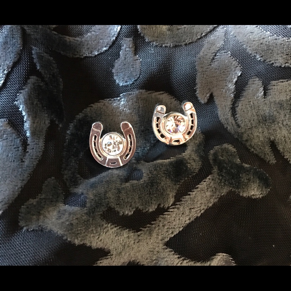 Sterling earrings