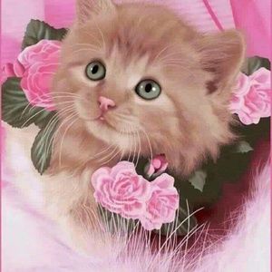 Meet your Posher, Marion