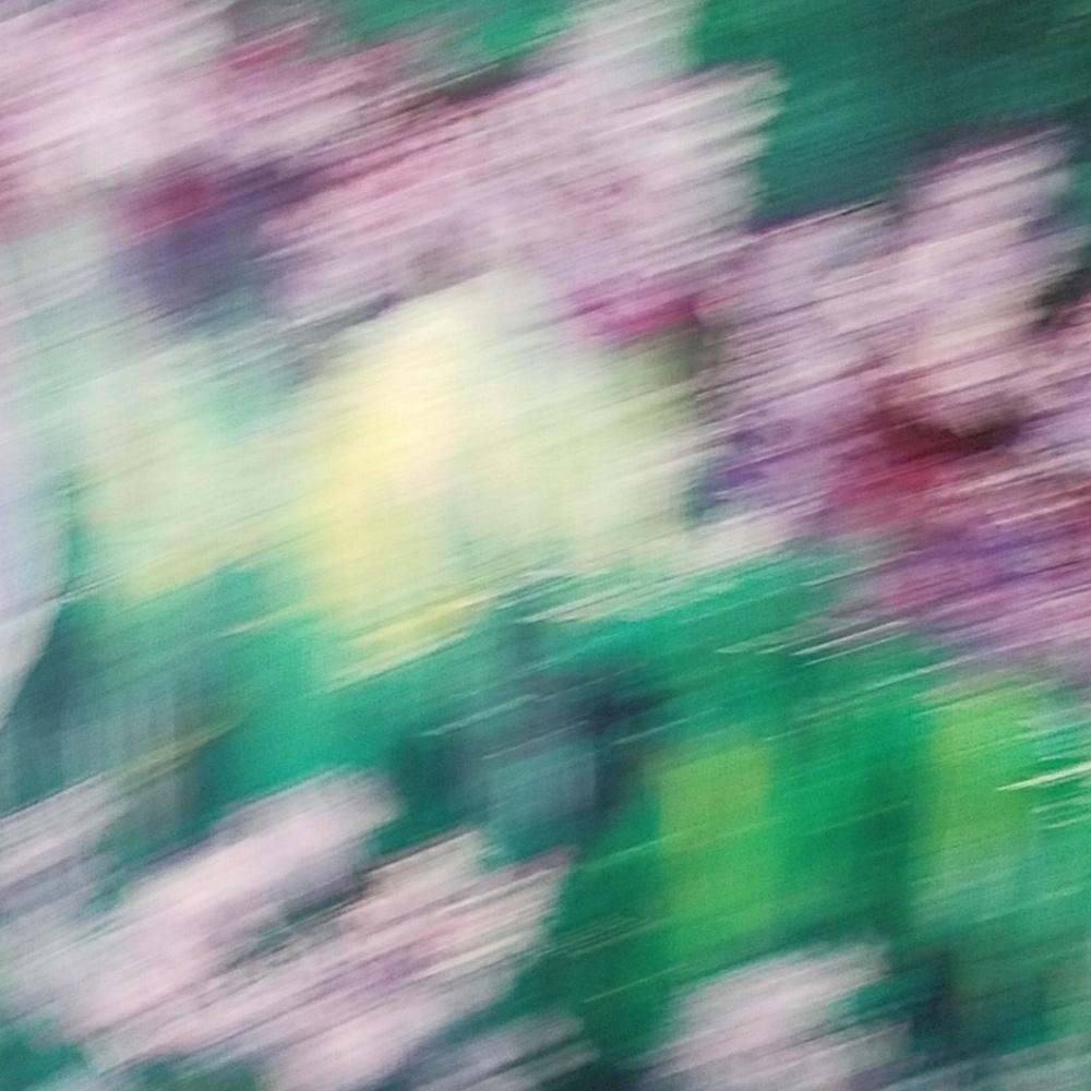 Meet your Posher, Lois