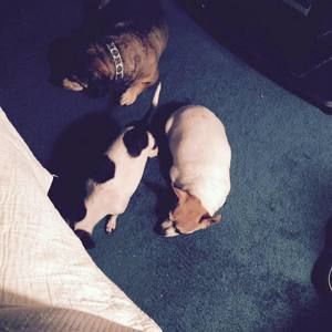 Meet your Posher, Cari