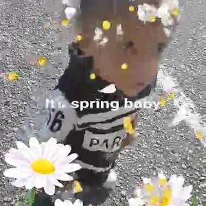 Meet your Posher, Kelley