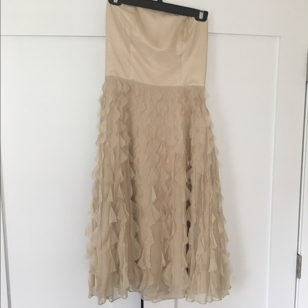 Strapless Silk Dress