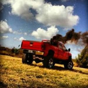 Meet your Posher, Jackson