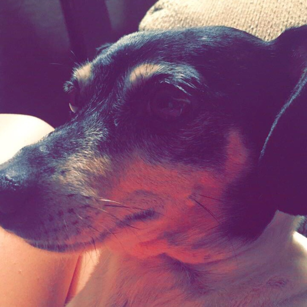 Meet your Posher, Mimi