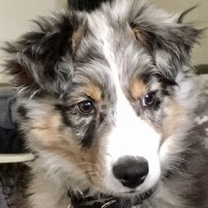 Meet your Posher, Liat