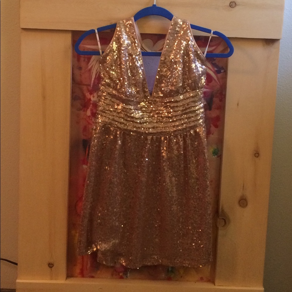 Rose Gold Sequin Dress!