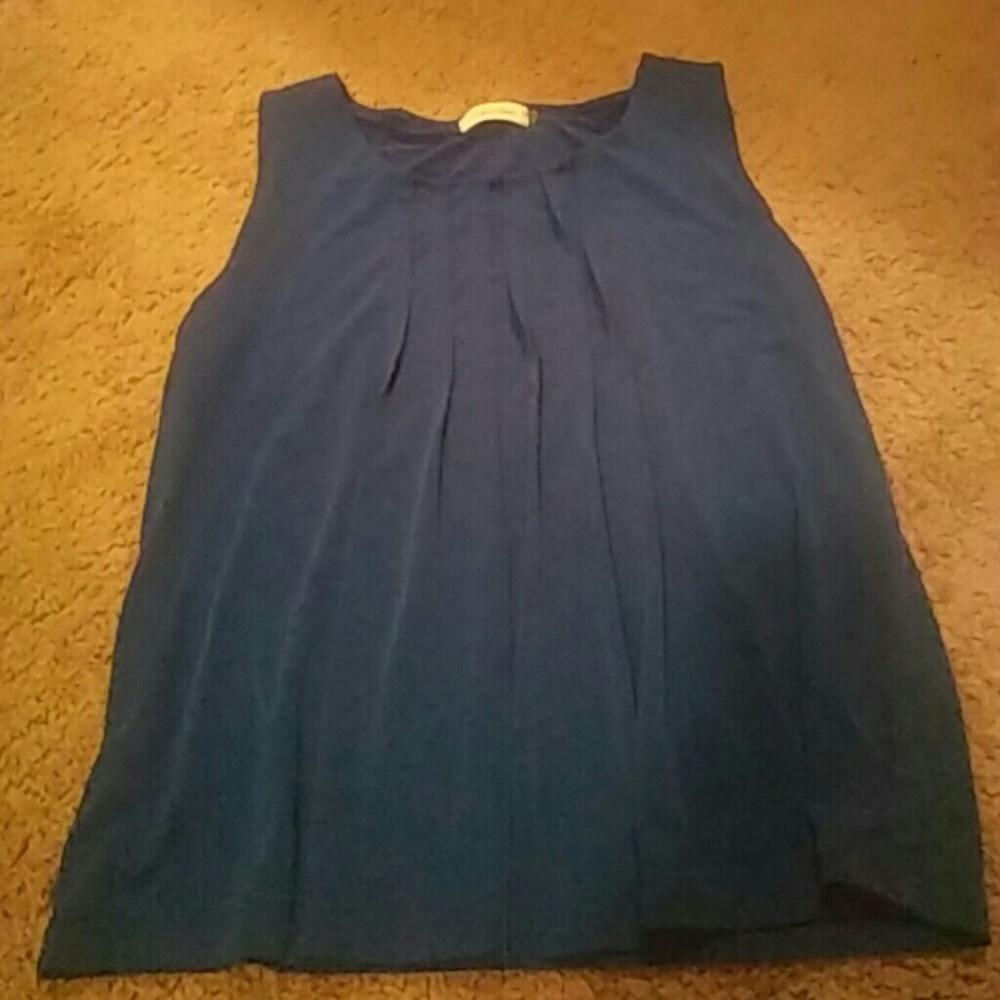 *DONATED*  Royal blue top