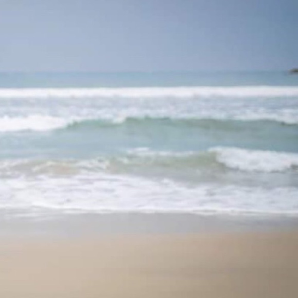 Meet your Posher, Ava