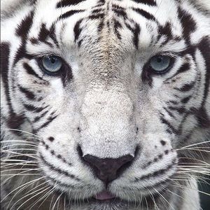 Meet your Posher, Filip