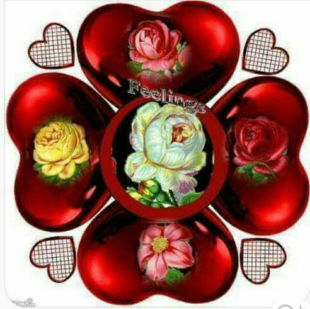 Meet your Posher, Erika