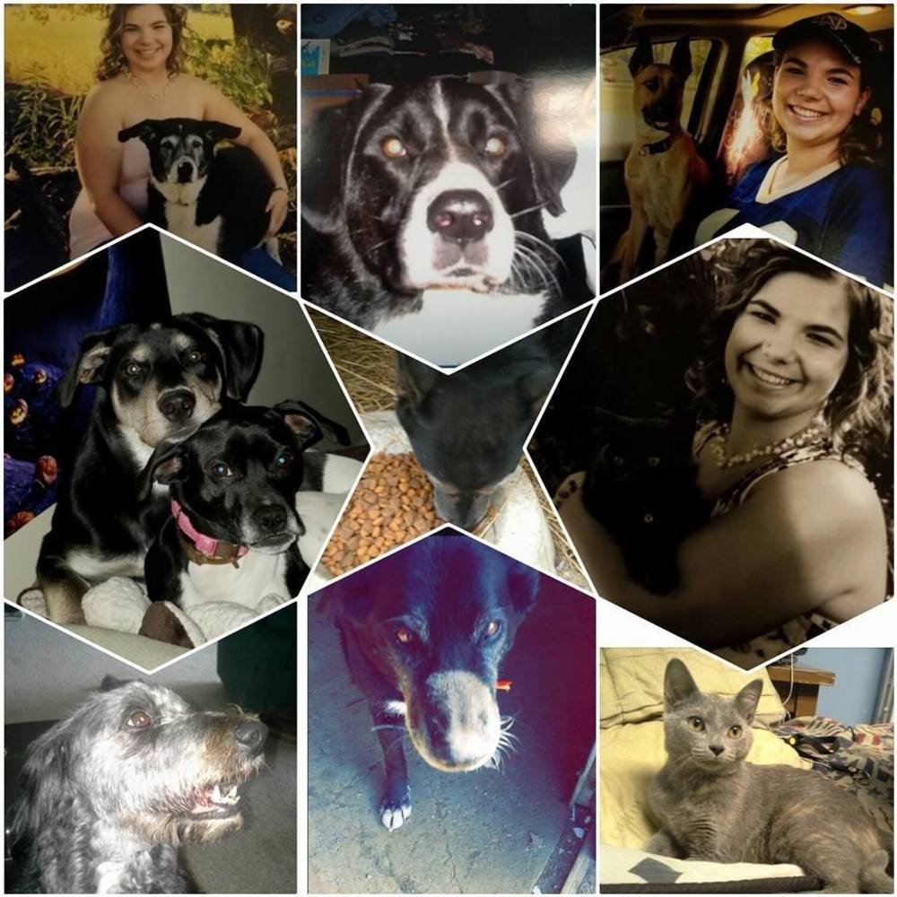 Meet your Posher, Kenzie