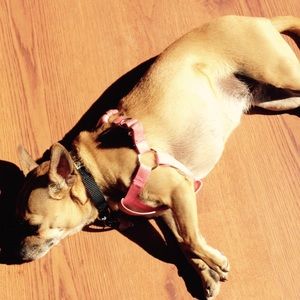 Meet your Posher, Treasa