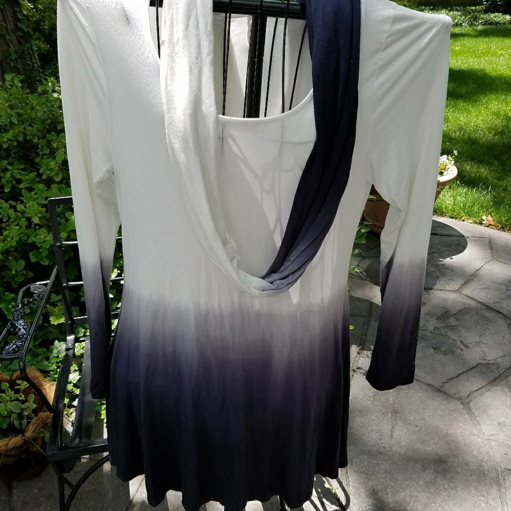 PRICE DROP Elegant Lily Skye Ombre' tunic/dress.