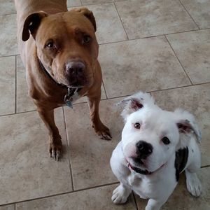 Meet your Posher, Craig n valerie