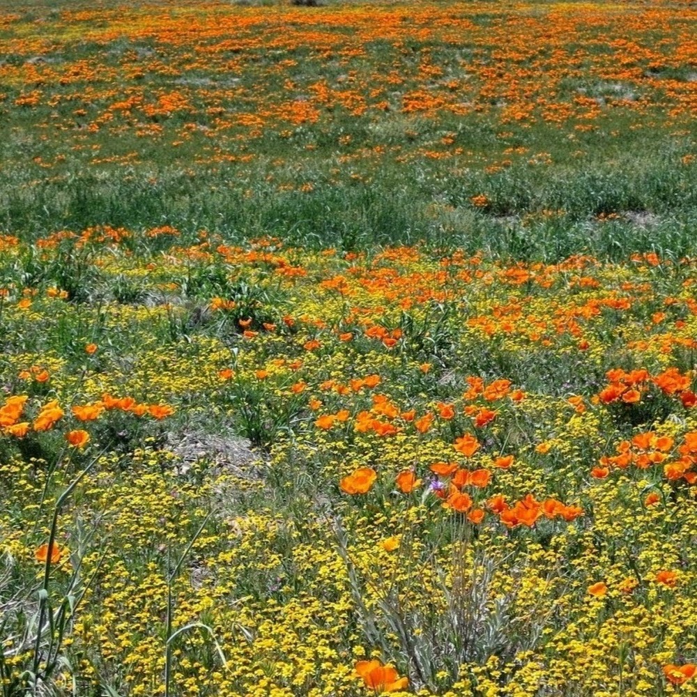 Meet your Posher, Gloria