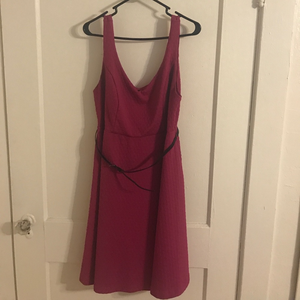 Torrid Swing Dress