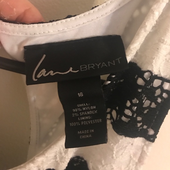 Black and White Stripe Lace Dress -Lane Bryant - Picture 3 of 4