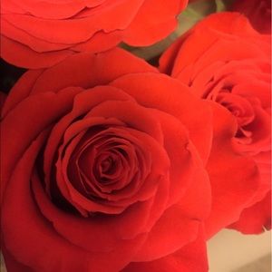 Meet your Posher, Hazel