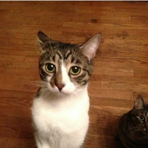 Meet your Posher, Tim