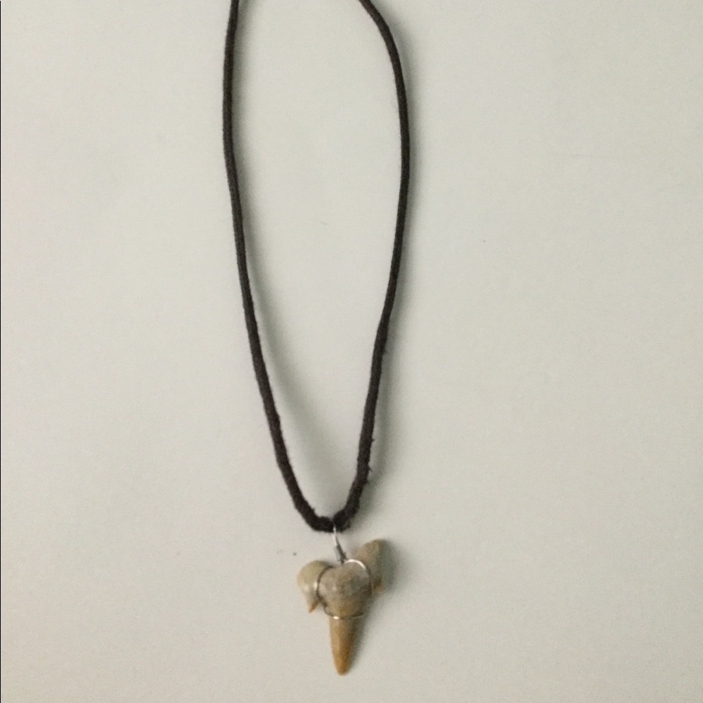 Shark tooth necklace!