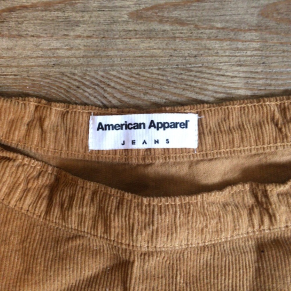 American Apparel circle skirt