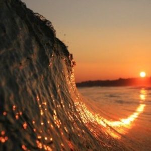 Meet your Posher, Helen