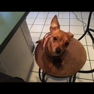 Meet your Posher, Kelly